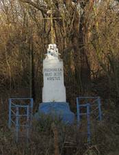 jezd u Brna - k u trati.jpg