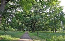 idlochovice zmeck park 1.jpg