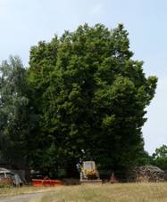 Lpa v Bukov (003).jpg