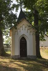 LÃpa velkolistÃ¡ a dub letnÃ v DolnÃ Rokytnici 02.jpg