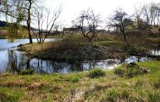 Tvrzit Boeice, Daboe, pohled od vchodu.jpg