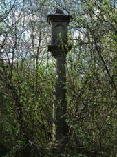 Nekrasn, bo muka 02e.jpg