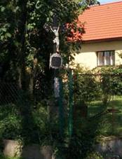 K�� v Annovic�ch (Q80460221).jpg