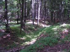 Krumvald (hrad) - zbyl� p��kop.JPG