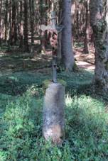 K u lesn cesty mezi Johankou a Novou Vs (Q67180660) 01.jpg