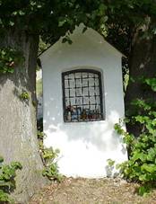 Hojn Voda, lpy s kaplikou 02.jpg