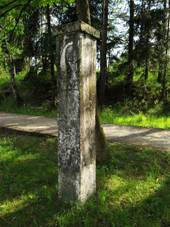 Kaplice, brzdov kmen.jpg