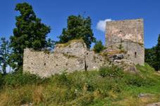 Vtkv kmen 2015-08-04.jpg