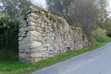 Rozmberk city walls (9515).jpg