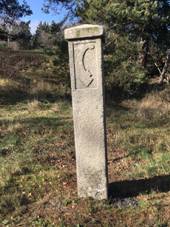 Brzdov kmen Naidla.jpg