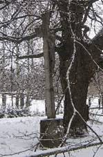 http://www.zanikleobce.cz/detail_img.php?i=54312