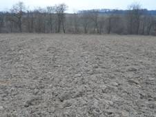 Hradit Doubravany II b.jpg