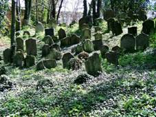 2012 kveten kolin hrbitov 006.JPG