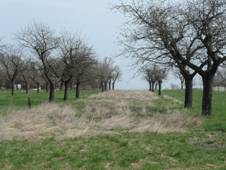 Skalka (Velim) 2.jpg