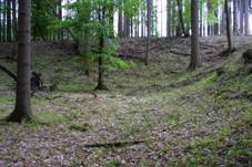 Tebokov - jihozpadn nro.jpg