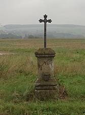 Lednice, kek severn od vsi, se stromy.jpg