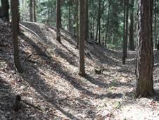 Medenicky potok M3. Hradek.jpg