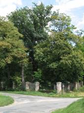 HÃ½sly - pamÃ¡tnÃ½ strom v panskÃ zahrad›.JPG