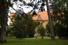 dnice - pohled na zmek z parku.JPG