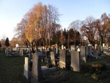 Horn Rodol (Liberec VII) - hbitov (11).jpg