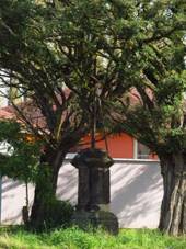 Krucifix, Krsn Studnka.jpg