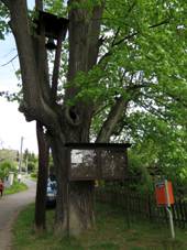 Tebn, zvonika - vidlk.jpg