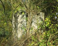 Kaple v Haslicch (Q78791166) 01.jpg