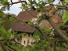 Dubin, usedlost p.1.jpg