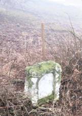 K pod lipami u silnice severn od Homole u Panny (Q107162600).jpg