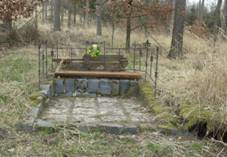 K u lesn cesty vchodn od Homole u Panny (Q107163114) 01.jpg