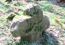 Smr k v lese pobl vodojemu severn od Janovic (Q94444938) 02.jpg