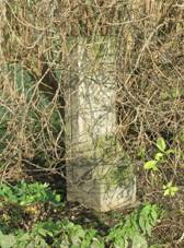 K u silnice 15 vchodn od Jenic (Q78790697) 02.jpg