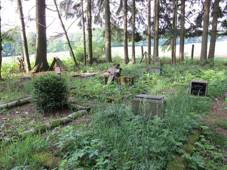 Vysok (Star Voda)-hbitov 09.jpg