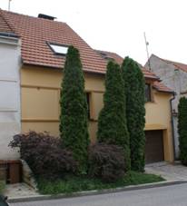 Mikulov Husova 71-35 02.JPG