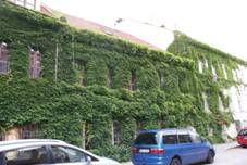Mikulov_Husova_332-6_02.JPG