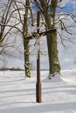 Borovany (Bernartice). (6).jpg