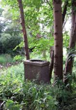 K zpadn od Kvchova u mostu pes Smutnou (Q80458645).jpg