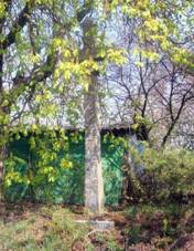 K severozpadn od Branic (Q80459527).jpg