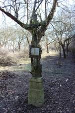 Dra - okres esk Budjovice (012).jpg