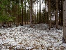 Mohyly - Radtice.JPG