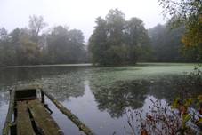 Vepice (Kovov) (14.).jpg