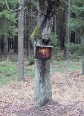 Vyhnanice (Hlavatce) - Okres Tbor (011).jpg