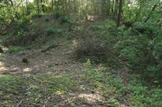 ejetiky - tvrzit Rcov (17).jpg