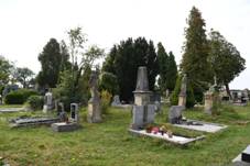 https://upload.wikimedia.org/wikipedia/commons/thumb/6/61/Kovanec-evangelick%C3%BD-h%C5%99bitov2018.jpg/1280px-Kovanec-evangelick%C3%BD-h%C5%99bitov2018.jpg