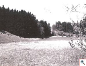 Pohresen