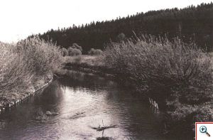 potok1964