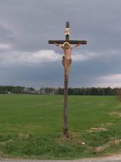 14.Devn k u cesty do Jamolic.jpg