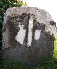 Smr kmen .1667 Hostradice.jpg