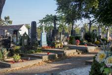 Knnick hbitov  04.jpg