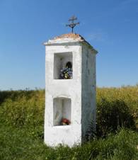 Bo muka Petrovice.jpg